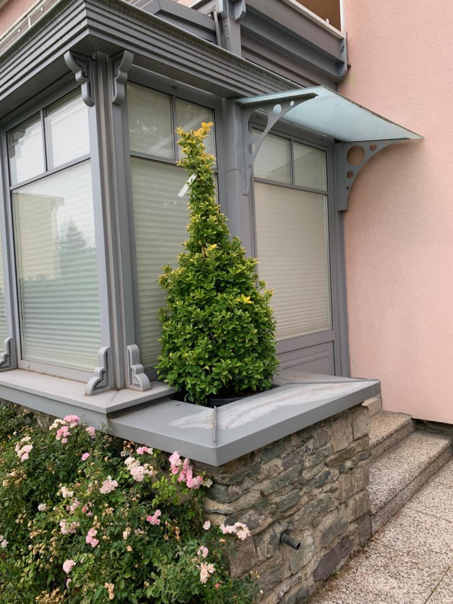 Klagenfurt Living 85 Leilighet Klagenfurt am Woerthersee Eksteriør bilde